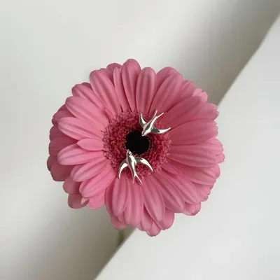 Сережки