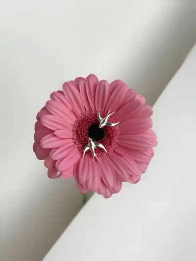 Сережки