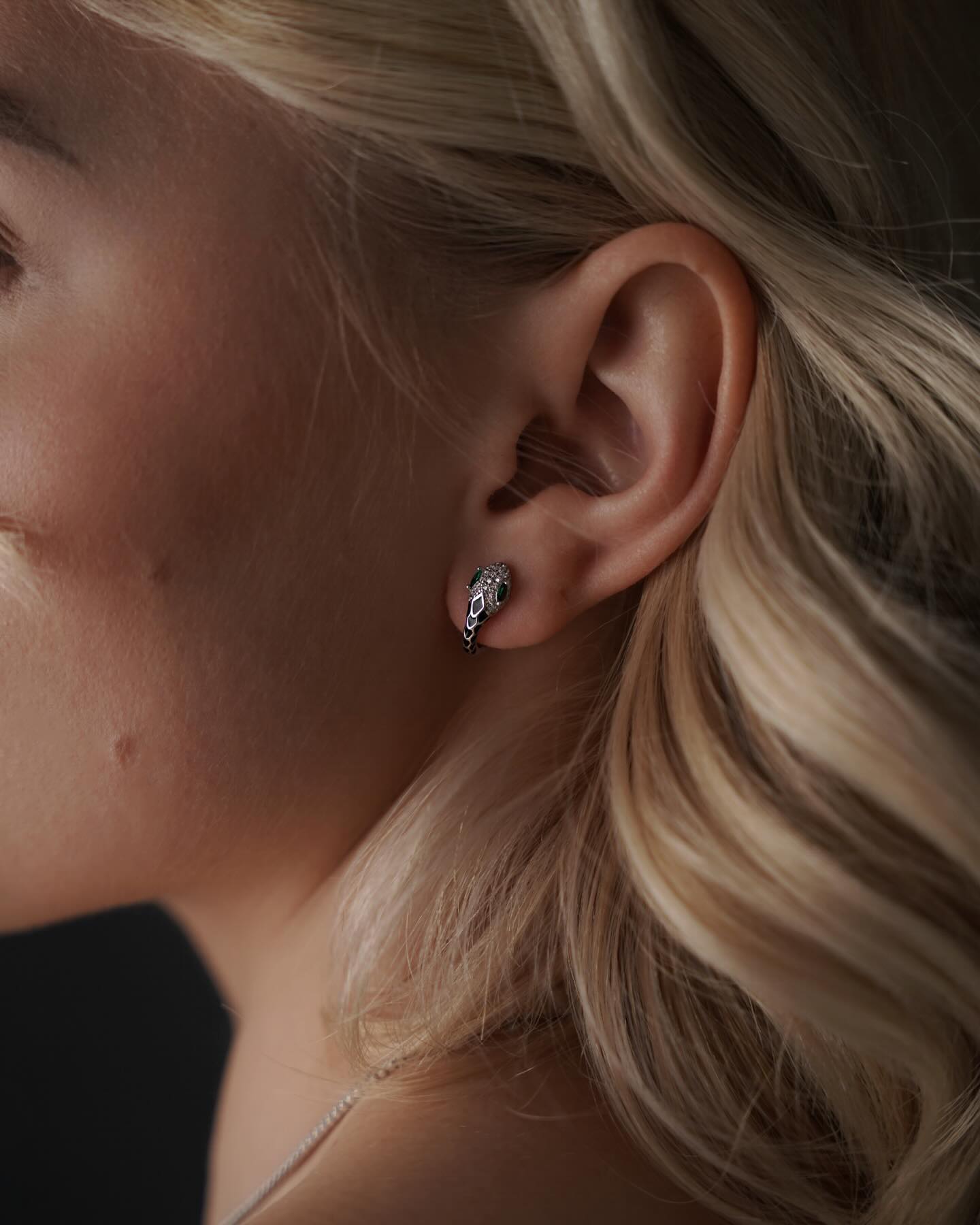 earings picture